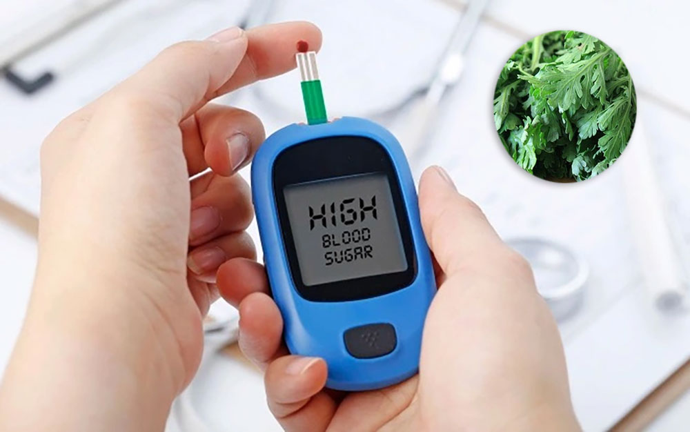 cải cúc tốt cho đường huyết