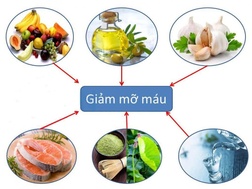 giảm mỡ máu hiệu quả