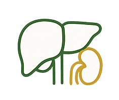 Hỗ trợ Gan – Thận