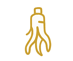 Hồng Sâm – Linh Chi Hàn Quốc