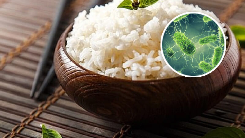 cơm để nguội dễ gây ngộ độc