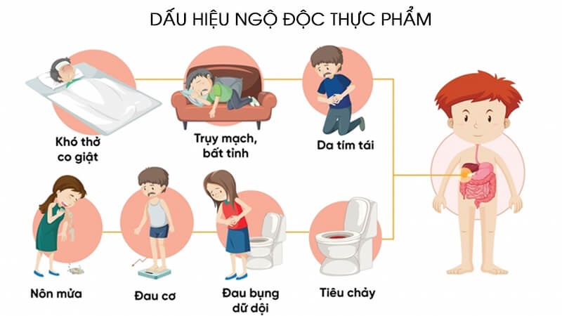 dấu hiệu ngộ độc thực phẩm cần biết