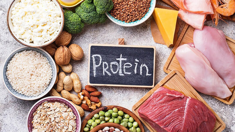 protein thông minh