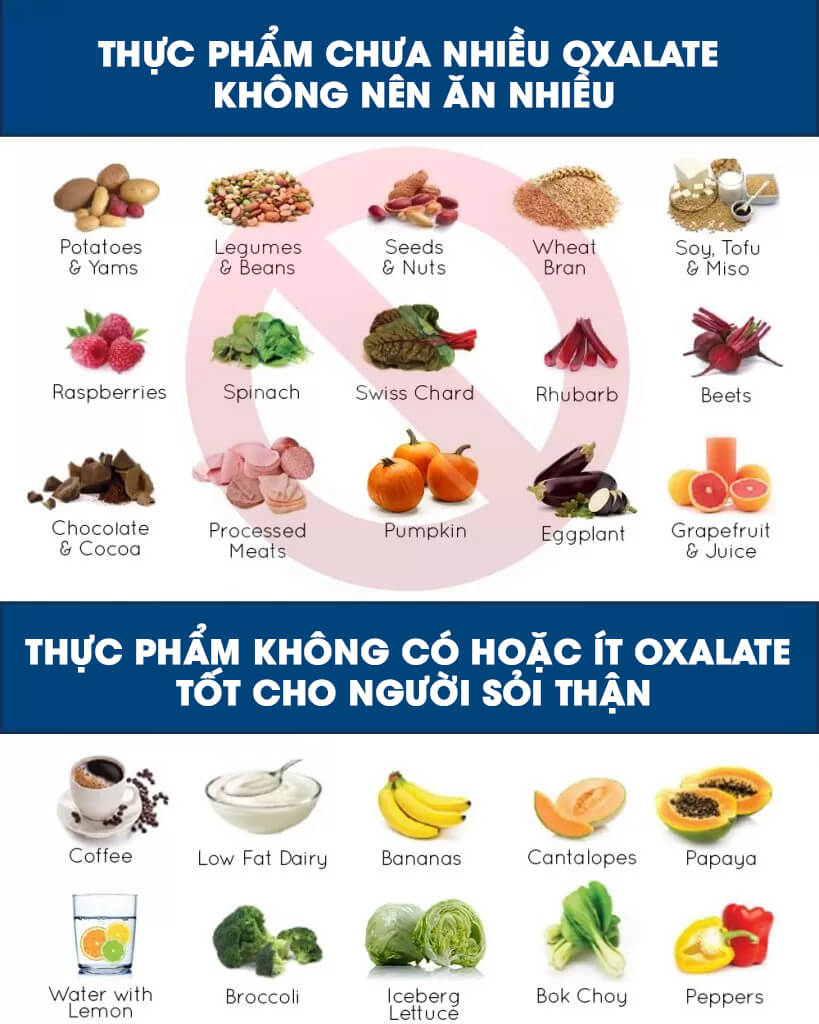 Thực phẩm giàu oxalat và không chứa oxalat