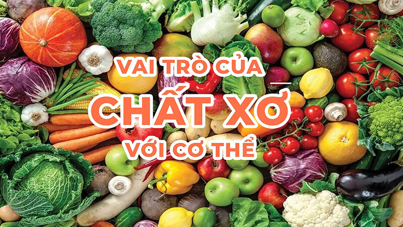 vai trò của chất xơ